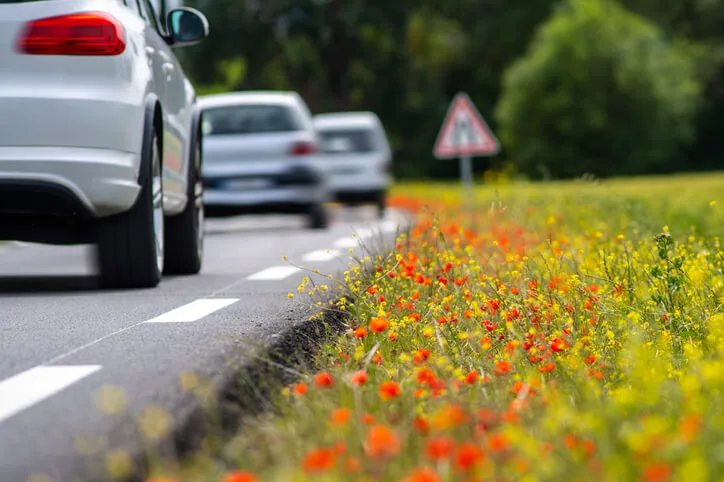road traffic on a small road